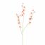 SWEET PEA 103CM PEACH