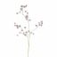 ASTRANTIA SPRAY 84CM BLUE