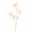 ASTRANTIA SPRAY 84CM PEACH