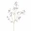 ASTRANTIA SPRAY 130CM BLUE