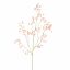 ASTRANTIA SPRAY 130CM PEACH