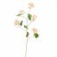 BEGONIA SPRAY 105CM PEACH