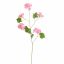 BEGONIA SPRAY 105CM PINK