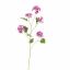 BEGONIA SPRAY 105CM PURPLE