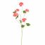 BEGONIA SPRAY 105CM RED