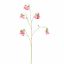 COBEA 110CM BEAUTY