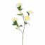 CAMELIA JOAN TREHANE 100CM CREAM