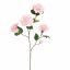 CAMELIA JOAN TREHANE 100CM PINK
