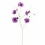 MORNING-GLORY SPRAY 107CM PURPLE