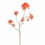 RHODODENDRON 116CM RED