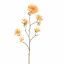 RHODODENDRON 116CM YELLOW
