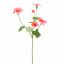 NASTURTIUM FLOWER 68CM BEAUTY