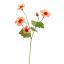 NASTURTIUM FLOWER 68CM CORAL