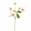 NASTURTIUM FLOWER 68CM PEACH
