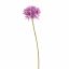 AGAPANTHUS 77CM LAVENDER