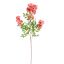 BELL FLOWER 100CM BEAUTY