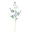 SWEET PEA 100CM BLUE
