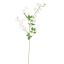SWEET PEA 100CM CREAM