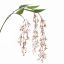 HANGING FLOWER SPRAY 85CM CREAM