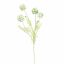 SCABIOSA POD SPRAY 60CM CREAM