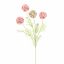 SCABIOSA POD SPRAY 60CM PINK