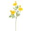 MARIGOLD 75CM YELLOW