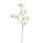 WILD MAGNOLIA SPRAY 85CM CREAM