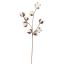 COTTON BRANCH 65CM WHITE