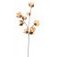 COTTON BRANCH 65CM PEACH