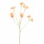 BELEMCANDA CHINENSIS SPRAY 67CM ORANGE
