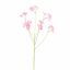 BELEMCANDA CHINENSIS SPRAY 67CM PINK