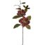 MAGNOLIA 83CM BROWN