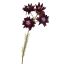 SERRURIA SPRAY 64CM BURGUNDY