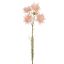 SERRURIA SPRAY 64CM CREAM PINK