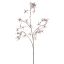 HEUCHERA 95CM LILAC