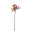 LARGE AMARYLLIS 80CM LILAC