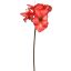 LARGE AMARYLLIS 80CM RED