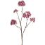 ASTRANTIA BRANCH 70CM BURGUNDY