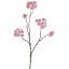 ASTRANTIA BRANCH 70CM PINK