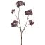 ASTRANTIA BRANCH 70CM TAUPE