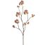 LARGE ASTRANTIA BRANCH 110CM BEIGE