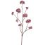 LARGE ASTRANTIA BRANCH 110CM BURGUNDY