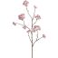 LARGE ASTRANTIA BRANCH 110CM PINK