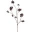 LARGE ASTRANTIA BRANCH 110CM TAUPE