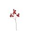 SWEET PEA 66CM RED