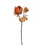 BALL PEONY SPRAY 60CM ORANGE
