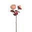 BALL PEONY SPRAY 60CM PEACH
