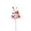 SLIM LILY SPRAY 97CM RED