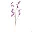 SWEET PEA 117CM PURPLE