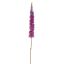 EREMURUS 109CM PURPLE